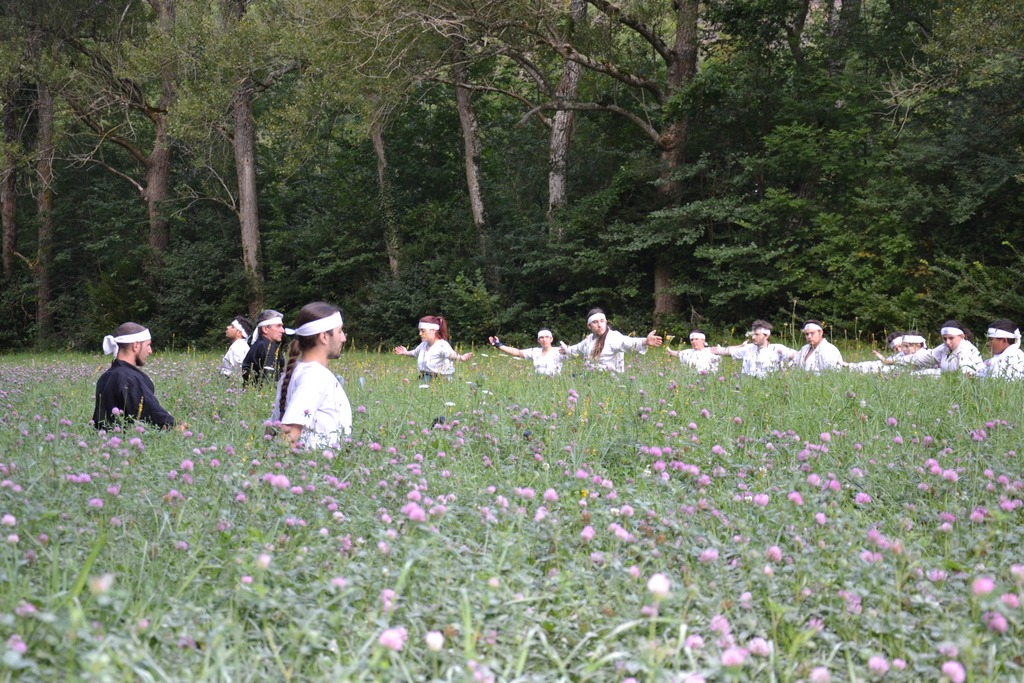 KiTaiso_KiTaiso_dojo_ext_20190712134717_20190712135152